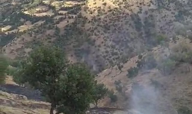 Hizan'da anız yangını