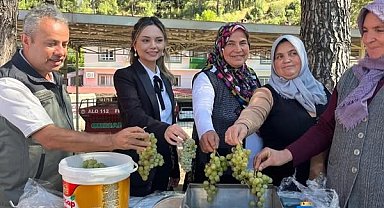 İklime Dirençli Ormancılık Projesi