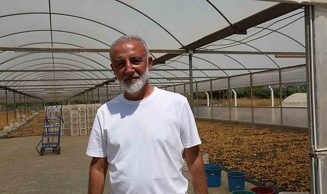İncir üreticisi tek çatı altında toplanmak için çalışma başlattı