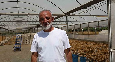 İncir üreticisi tek çatı altında toplanmak için çalışma başlattı