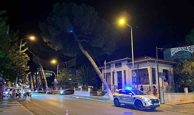 İncirliova'da çam ağacı kuvvetli rüzgara dayanamadı