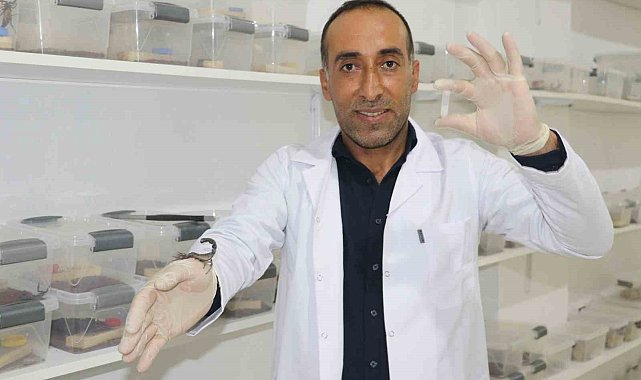 İnşaatçılıktan akrep zehri üretimine geçti, gramından on binlerce dolar kazanacak