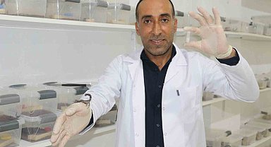 İnşaatçılıktan akrep zehri üretimine geçti, gramından on binlerce dolar kazanacak