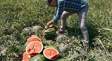 Iphone 17 almak için 30 tır karpuz ya da 2 tır domates satmak gerekiyor