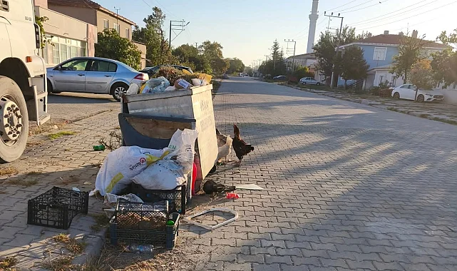 İpsala'da CHP'li Meclis Üyesi'nden Başkan Kerman'a bakımsızlık eleştirisi