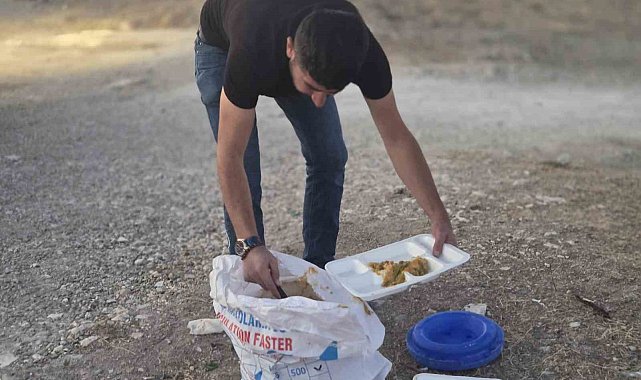İş yerinden artan yemekleri sokak hayvanları için doğaya bırakıyor