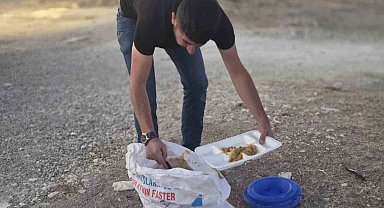 İş yerinden artan yemekleri sokak hayvanları için doğaya bırakıyor