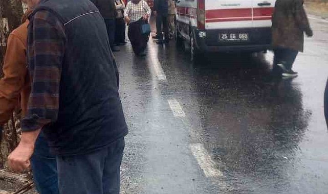 İspir'de koyun yüklü tır devrildi: Can pazarı yaşandı