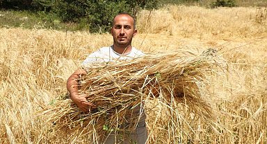 İstanbul'dan Ordu'ya uzanan çiftçilik öyküsü başarıya dönüştü