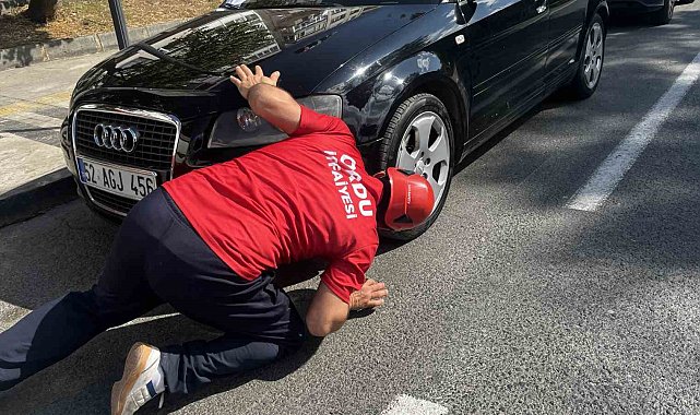 İtfaiyeden kedi kurtarma operasyonu