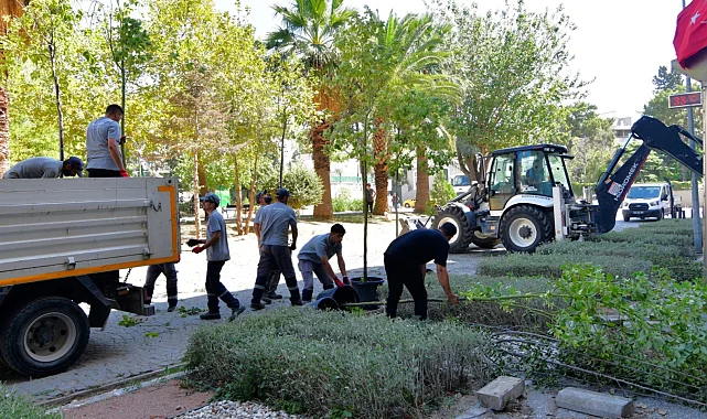 İzmir Bornova'da sakura ve tarçınla yeni bir soluk