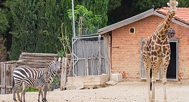 İzmir Doğal Yaşam Parkı'na 'kış' ayarı