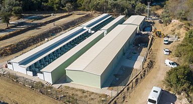 İzmir Güzelbahçe'de can dostlara yeni yaşam merkezi