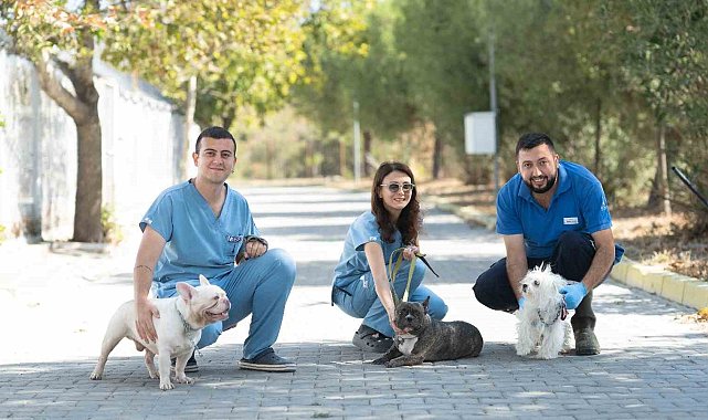 İzmir'de el konulan 20 cins köpek Işıkkent Köpek Bakımevi'nde