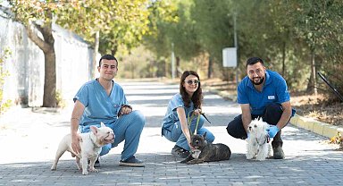 İzmir'de el konulan 20 cins köpek Işıkkent Köpek Bakımevi'nde