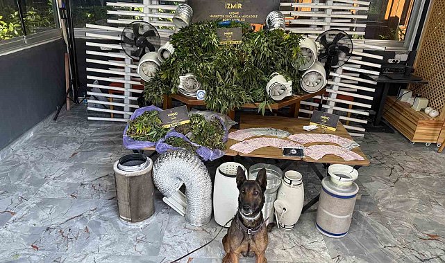 İzmir'de zehir tacirlerine darbe: 11 operasyon, 11 tutuklama
