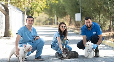 İzmir'de el konulan 20 cins köpek sahiplendirilecek