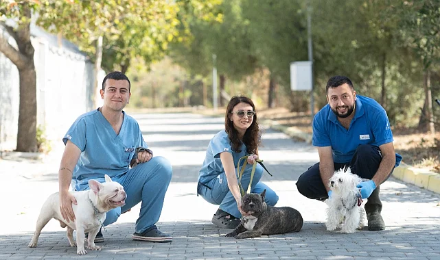 İzmir'de el konulan 20 cins köpek sahiplendirilecek