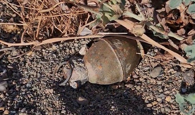 İznik Gölü kıyısında el bombası paniği