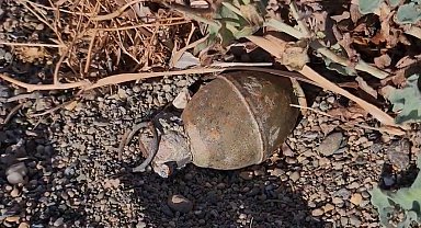 İznik Gölü kıyısında el bombası paniği