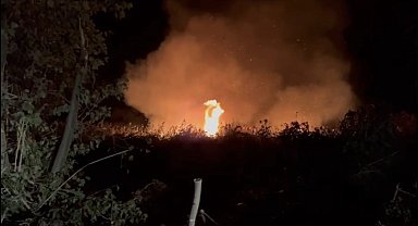 İznik'te korkutan yangın