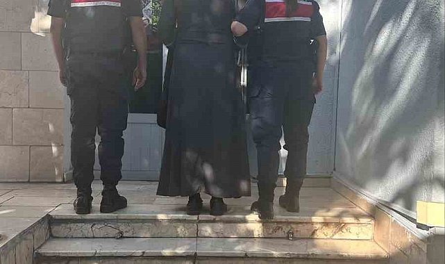 Jandarma'dan FETÖ operasyonu: 1 gözaltı
