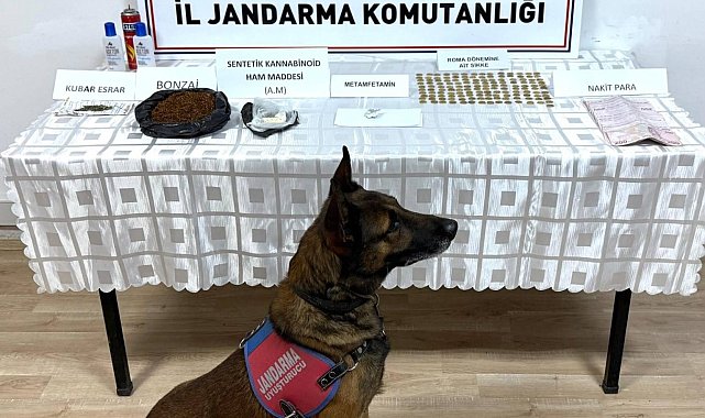 Jandarma'dan uyuşturucu operasyonu: 1 gözaltı