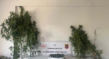 Jandarmadan iki ayrı uyuşturucu operasyonu: 3 gözaltı