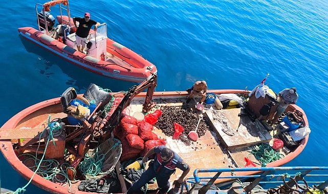 Kaçak avlanan 600 kilo midye tekrar denize bırakıldı
