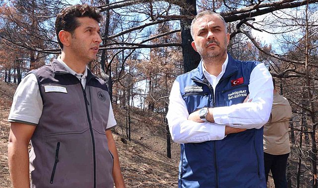 Kahramanmaraş'ta yanan ormanlık alanlar fidanlarla buluşturulacak