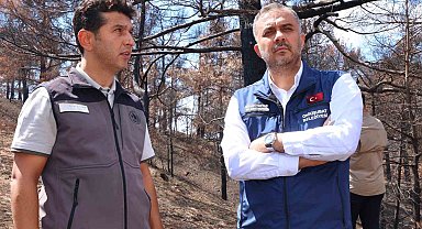 Kahramanmaraş'ta yanan ormanlık alanlar fidanlarla buluşturulacak