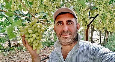 Kaliteli üzüm üretimiyle Sarıgöl'de örnek bağ