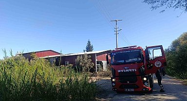 Kamışlık alanda başlayan yangın gıda toptancı deposuna sıçradı