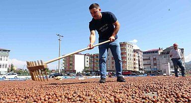 Kamyonetini 1 ton fındık karşılığında sattı