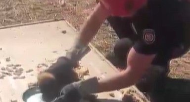 Kanala düşen yavru köpek kurtarıldı