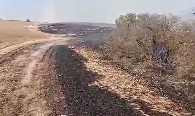 Kapaklı'da çıkan yangında 8 dönüm arazi kül oldu