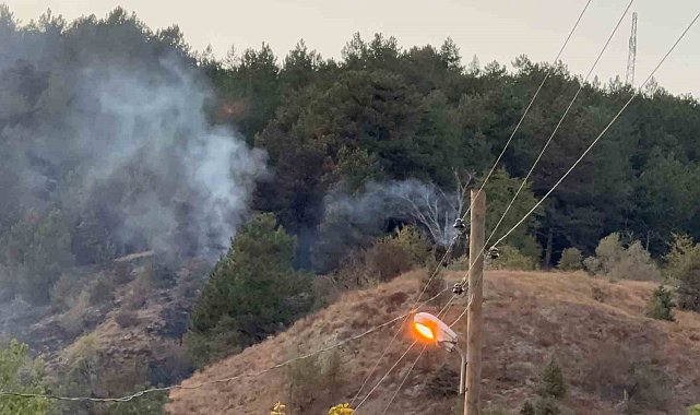 Karabük'te yangın 3 saatte kontrol altına alındı