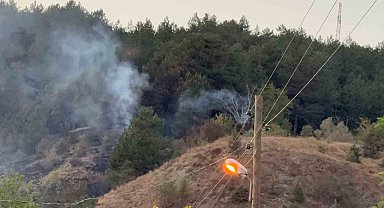 Karabük'te yangın 3 saatte kontrol altına alındı
