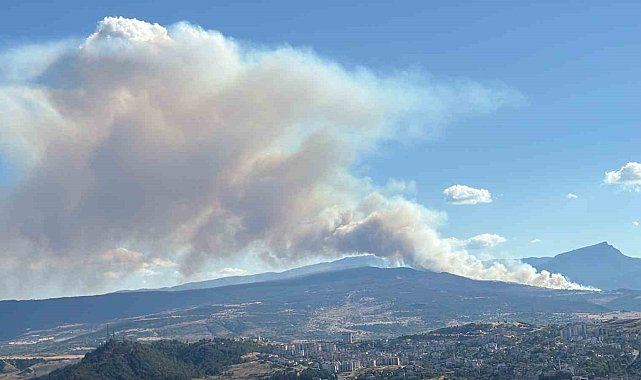 Karabük'te yangınlar art arda çıkıyor