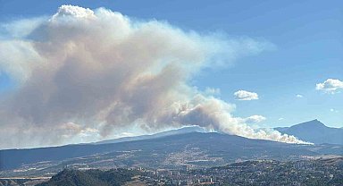 Karabük'te yangınlar art arda çıkıyor