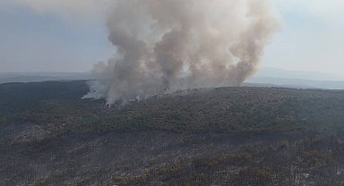 Karabük'teki orman yangını tek noktada etkisini sürdürüyor