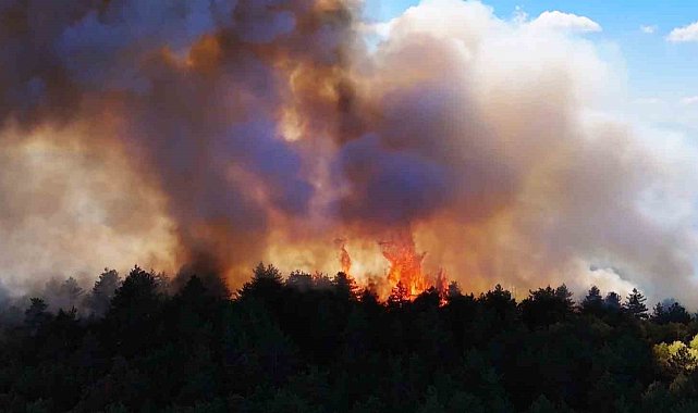 Karabük'teki yangın 48 saattir devam ediyor