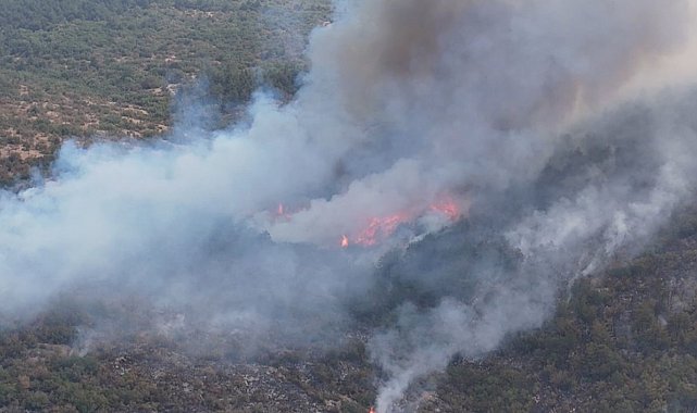 Karabük'teki yangınla ilgili 5 kişi gözaltına alındı