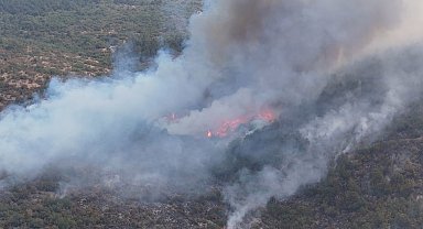 Karabük'teki yangınla ilgili 5 kişi gözaltına alındı