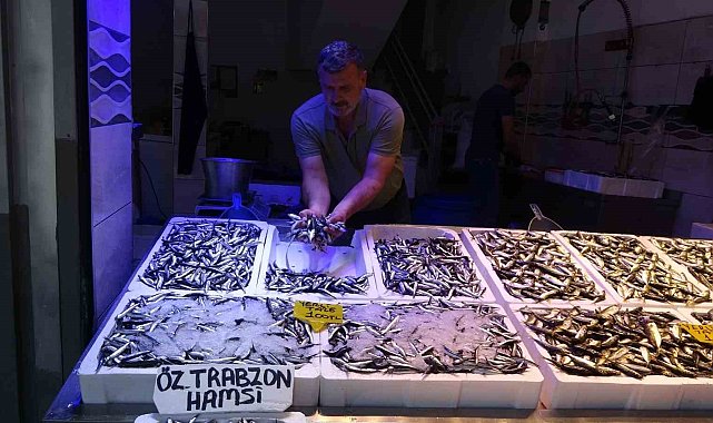 Karadeniz'de avı bollaştı, hamsi fiyatı 100 TL'ye düştü
