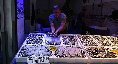 Karadeniz'de avı bollaştı, hamsi fiyatı 100 TL'ye düştü