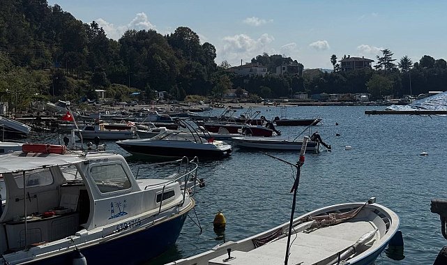 Karadeniz'de bu yıl hamsi beklentisi büyük