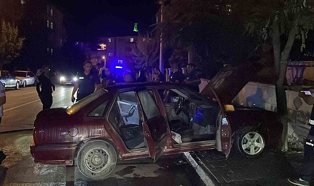 Karaman'da park halindeyken hareket eden otomobil, ağaca çarparak yandı
