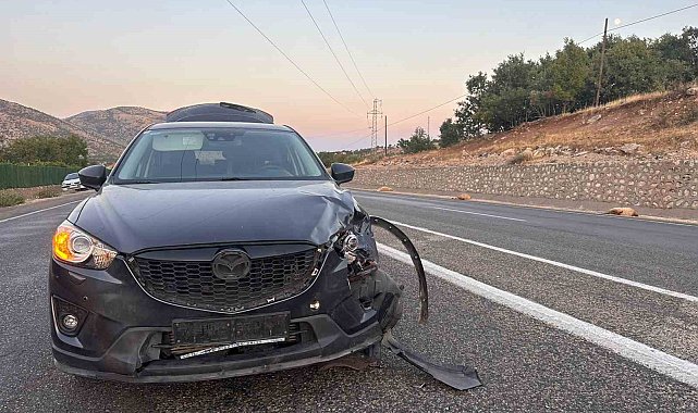 Karayoluna çıkan sürüye otomobil çarptı