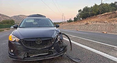 Karayoluna çıkan sürüye otomobil çarptı